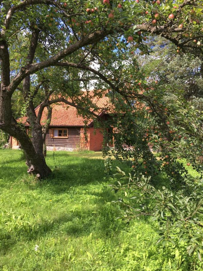 Mamrowisko Villa Węgorzewo Eksteriør billede